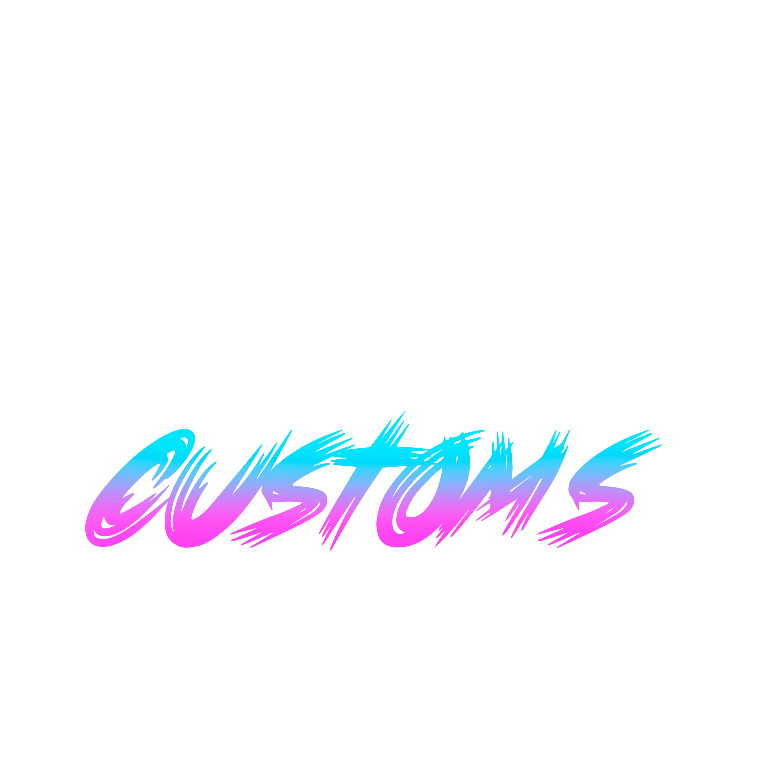 Portal Customs